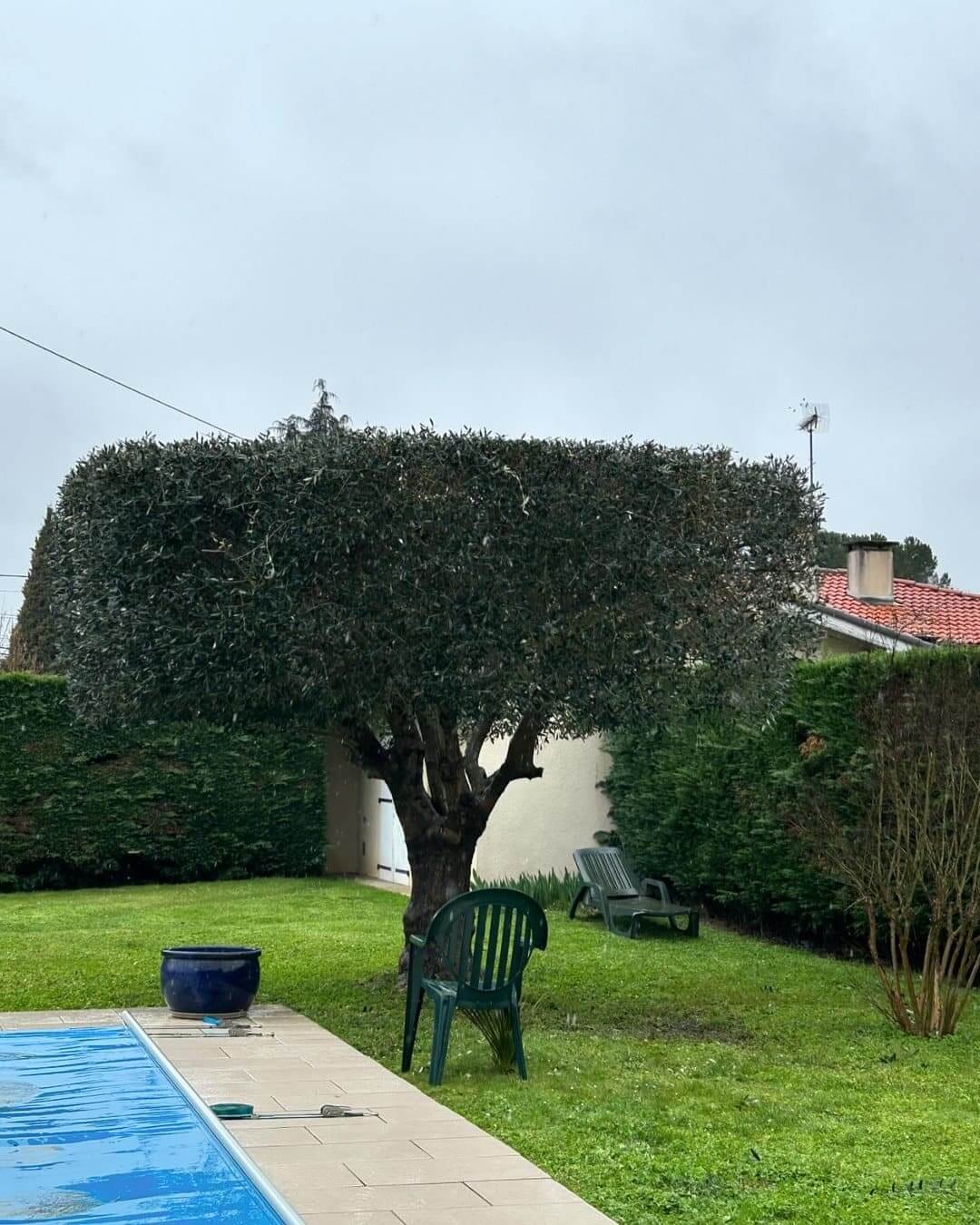 Jardinier paysagiste carpentras