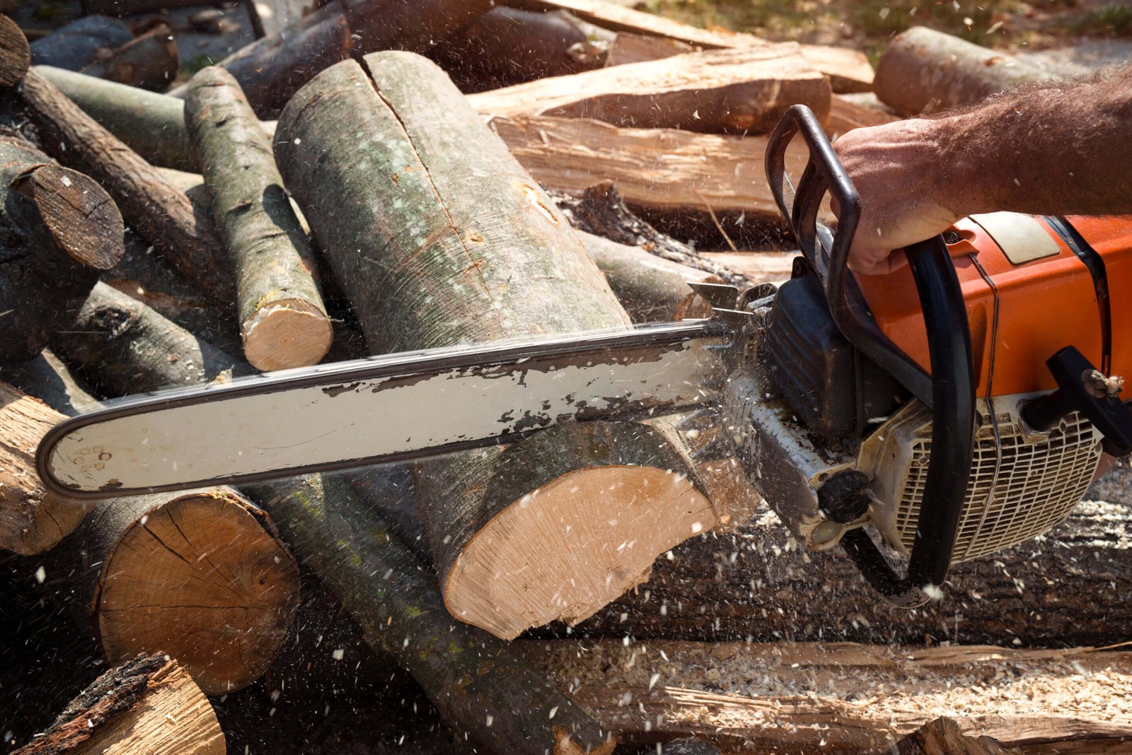 Travaux forestier vaucluse Travaux forestier vaucluse