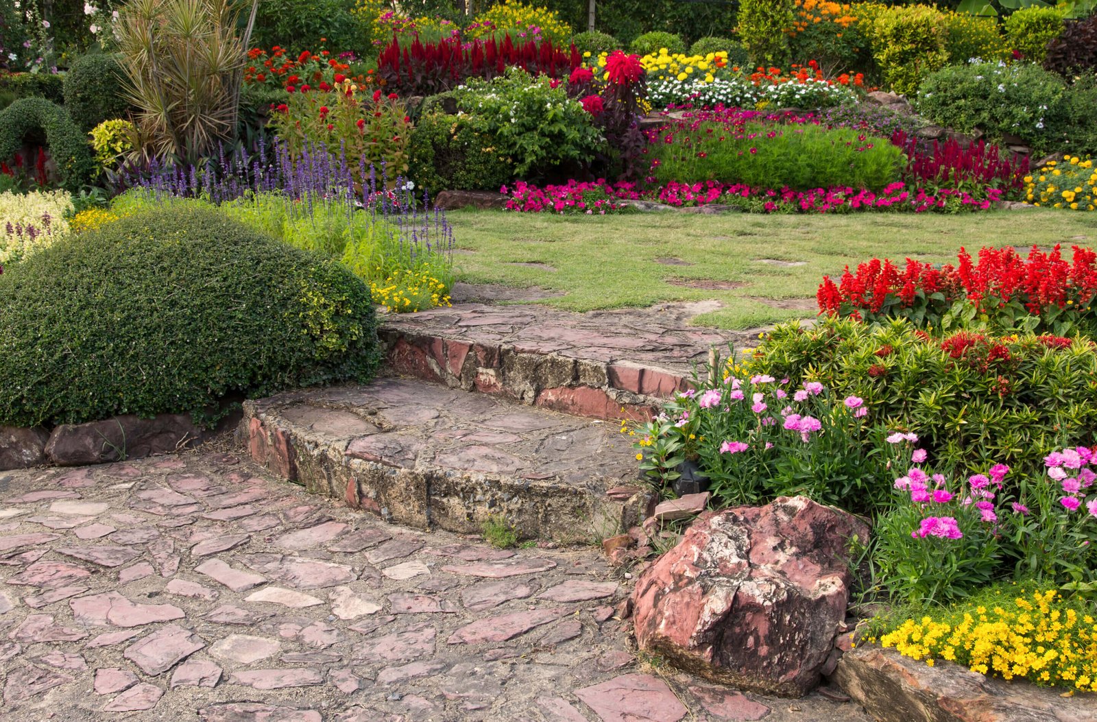 Jardin bien entretenu Jardin bien entretenu à Chateaurenard